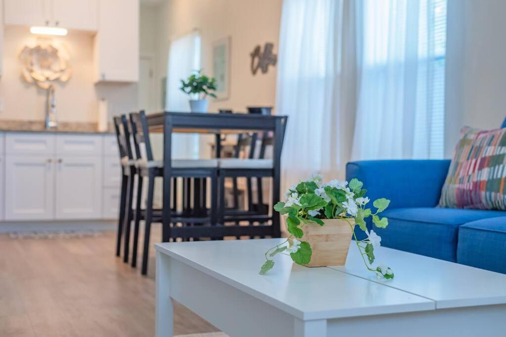 Secret Garden Apartment San Antonio Ngoại thất bức ảnh